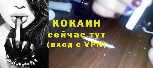 дмт Верея