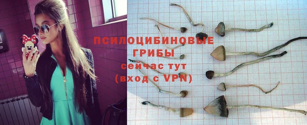 дмт Верея