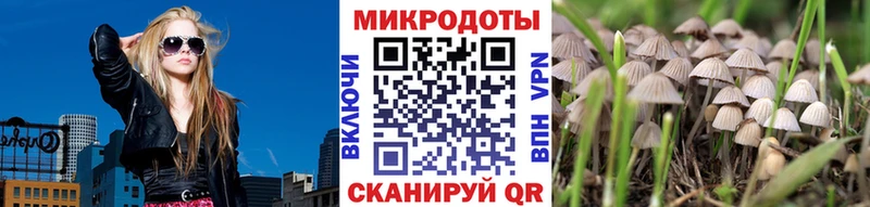 что такое наркотик  Льгов  Галлюциногенные грибы прущие грибы 